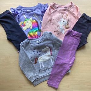 12 month unicorn lot